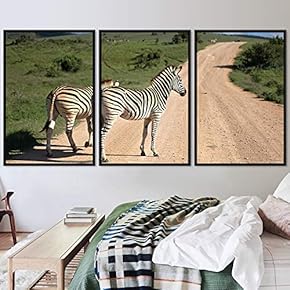 signwin 3 Piece Framed Canvas Wall Art Double...