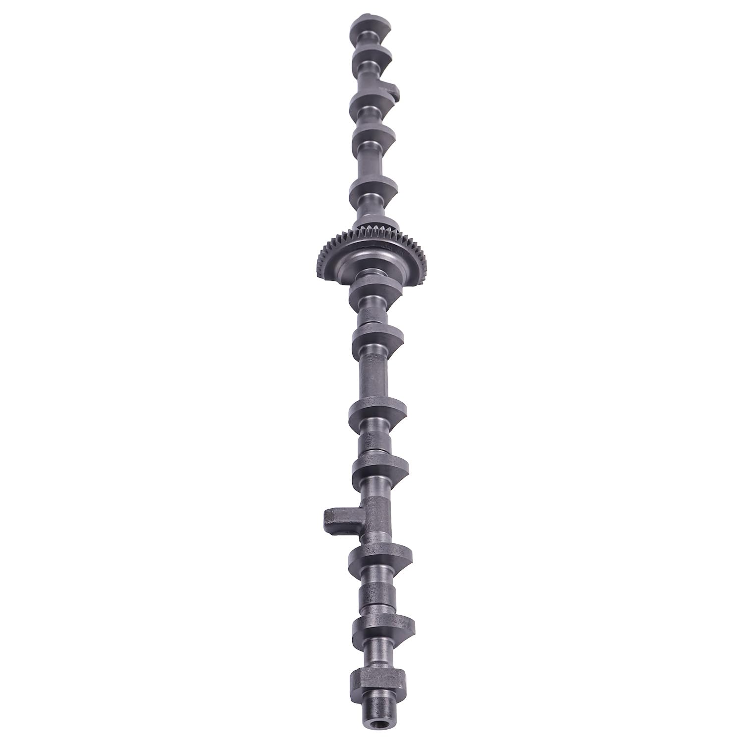 Amazon.com: WQSING Eccentric Timing Camshaft for BMW N51 N52 6