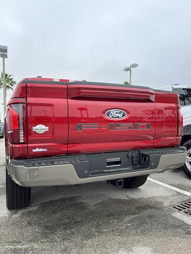 Image of F-150 Tailgate Emblem Letter Inserts - Compatible with 2021-2026 F-150