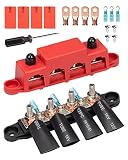 Klemmleiste 250A Sammelschiene 12V-48V Verteilerblock,Busbar Box 2ST 4X M8 Stromverteilerblock Stromschiene mit Montagezubehör,Wohnmobilausstattung für Yacht Boot Marine