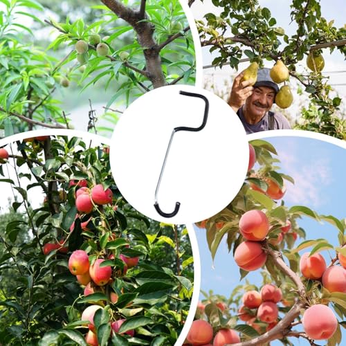 Separador para ramas de árbol con clips ajustables miniatura 4