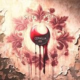  Un poème bicéphale