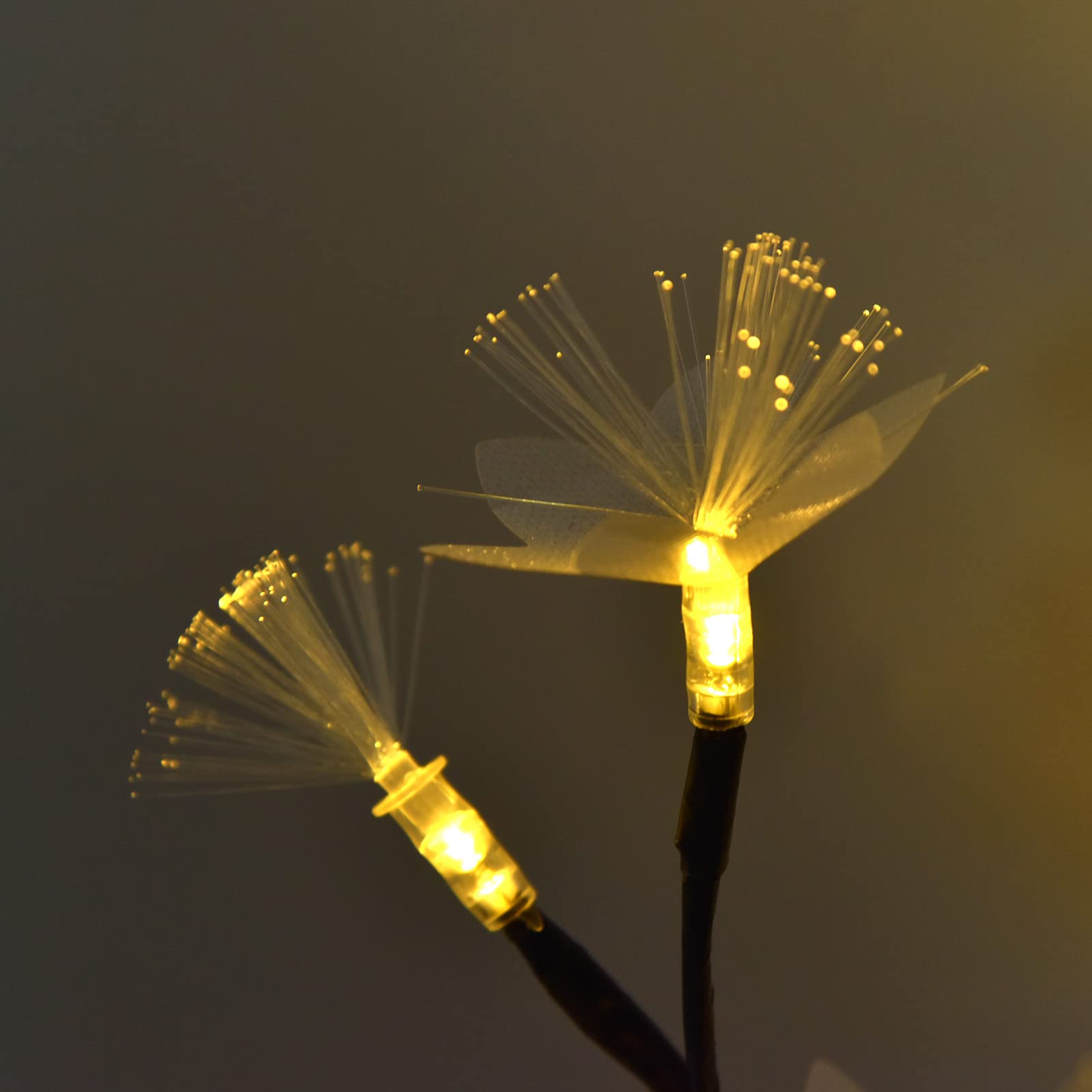 Arbre Lumineux BEIJIALY Lampe En Forme De Rose, 16 Couleurs, Lampe Bonsaï, Lampe De Lampe Decorative