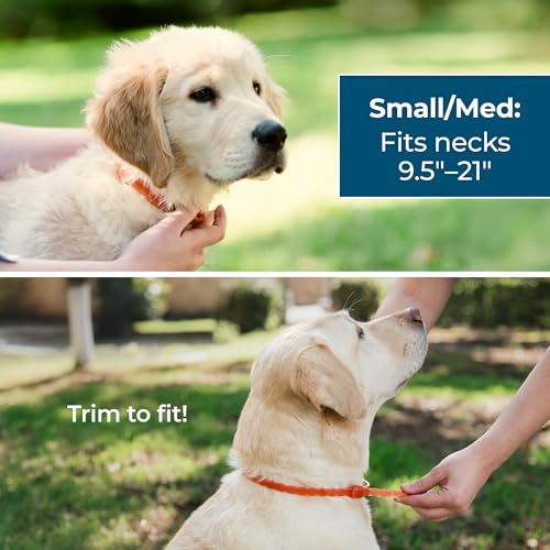 Wondercide Dog Collar - with Natural Essential Oils - 4 Months Protection | Flea, Tick, and Mosquito Repellent, Prevention for Dogs - Pet and Family Safe - Image 5