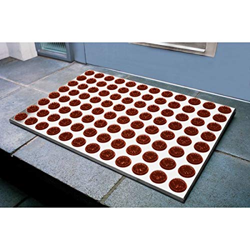 Preisvergleich Produktbild Radius Fußmatte Feet Back III Terracotta 513b