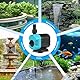 Wasserpumpe Tauchpumpe 15W 1200 L/H - Aquarium Pumpe Klein Teichpumpe Springbrunnenpumpe - Brunnenpumpe mit Verstellbarem Schalter für Gärten, Aquarium, Teich, Brunnen