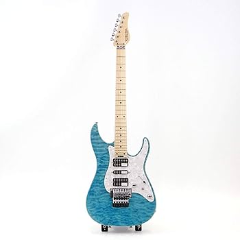 エレキギター シェクター SCHECTER SD-2-24 Amazon | SCHECTER SD-2-24-AL/M AQB エレキギター シェクター