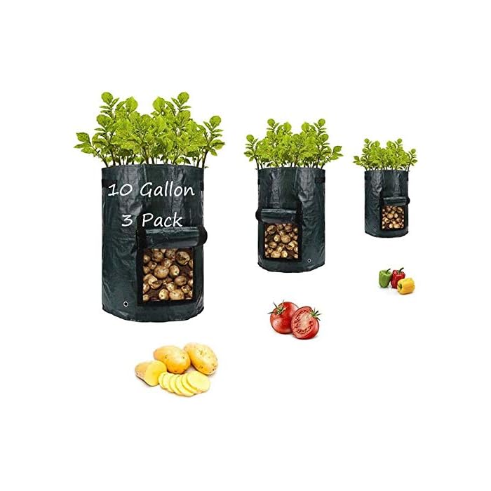 Buy PotatoGrowBags,Garden Vegetable Planter with Handles&Access Flap