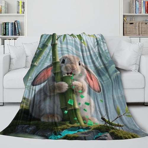 Couverture microfibre chaude plaid lit 127x152cm jeté de canapé imprimé 3D
