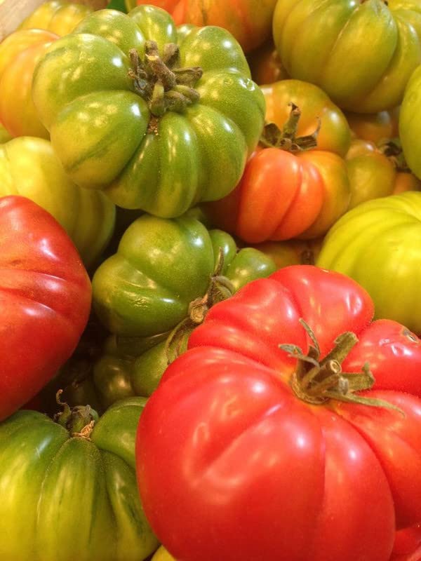 Ritz Farming® Imported vegetables Tomato seeds|red Heirloom tomato Seed For Your Garden and home gardening Pack of 30 to 40 seeds