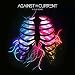 In Our Bones (Bonus Track)