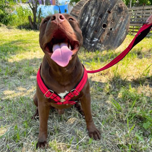 Guia Coleira Peitoral Regulável para Cachorros medio grande porte Dogvix (Rosa, G)