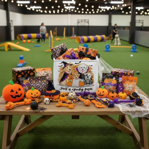 Image of Halloween Basket Gift Cute Pumpkin Parties Decor Kid Trick or Treat Basket for Boys and Girls Rectangular Storage Bin Box (Dog Bat)