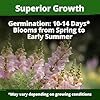HOME GROWN Snapdragon Northern Lights Seeds, 10000 Flower Seeds for Planting 2026 Spring, Pastel Garden Blooms of Snap Dragon, Pollinator Friendly Outdoor Cut Flowers (Antirrhinum majus) #2