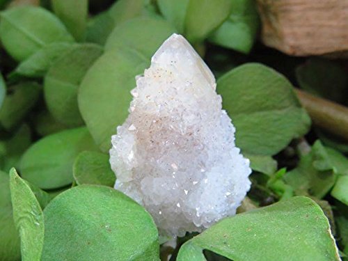 StarStuff.Rocks Authentic African Rock, Mineral, and Crystal Specimen Show (Spirit - Fairy Quartz)