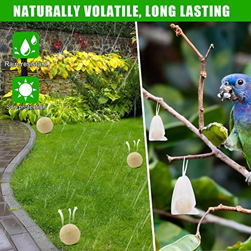 Motrapso 12 Pack Natural Squirrel Repellent For Outdoor Car Yard Garden Plants Indoor Bird Feeder thumb #4