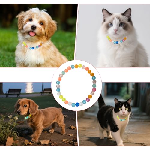 30cm Leuchtende Bunte Perlen Haustierhalskette – Hundehalsband und Katzenhalsband, Glow-in-The-Dark für Kleine Hunde, Katzen & Welpen, Sichtbar & Stilvoll bei Nacht, Alltagstauglicher Haustierbedarf