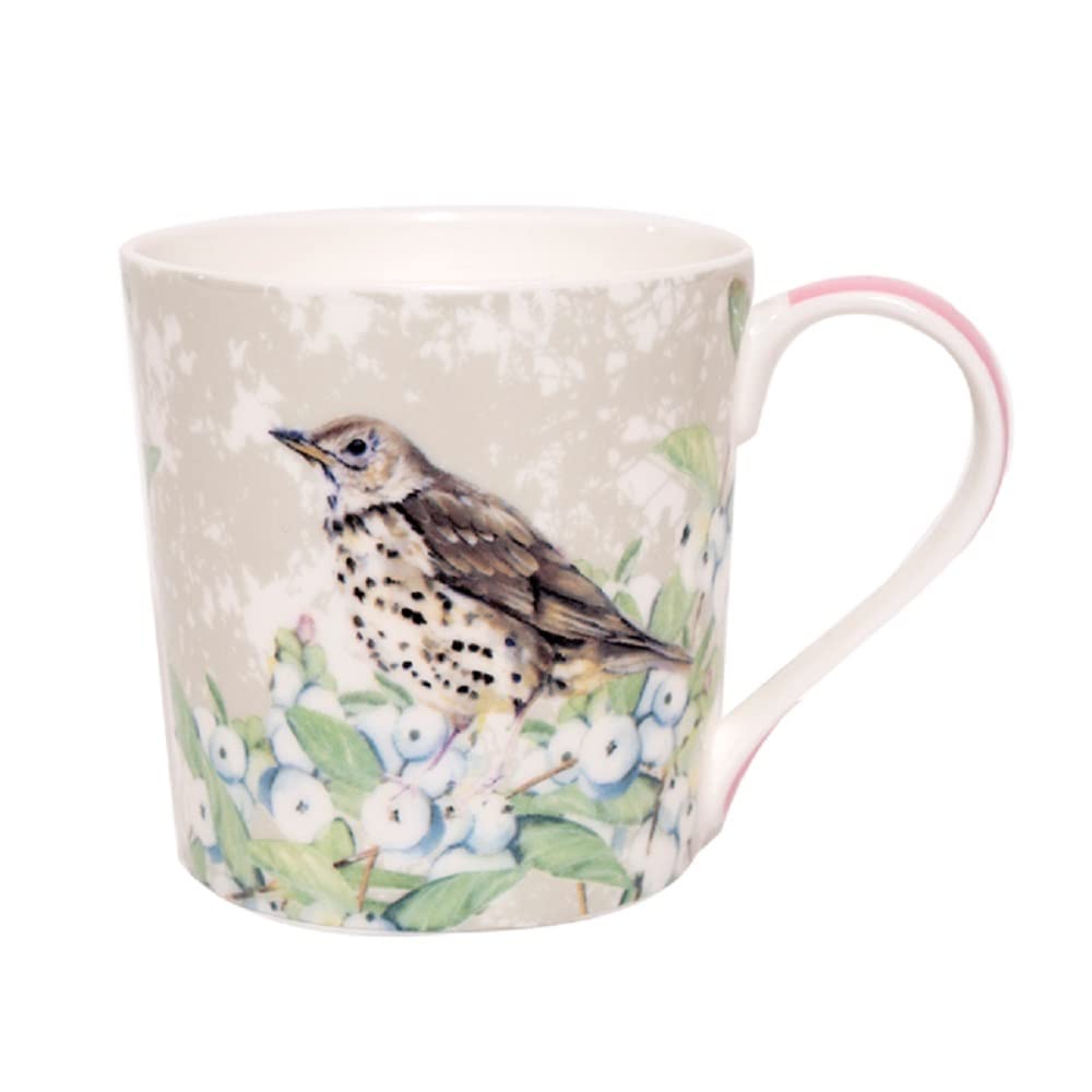 Little Dog Laughed Tuppence A Bag Song Thrush Fine Bone China Mug in Gift Box Bird Themed TABM03