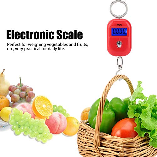 Báscula electrónica portátil Gavigain 25kg mini digital miniatura 2
