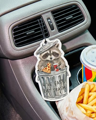 Image of Funny Car Air Freshener 5pcs Cute Capybara Raccoon Frog Opossum Chicken Animal Fresheners, Hanging Car Accessories for Women Teen Girls, Funny Gift for New Drivers