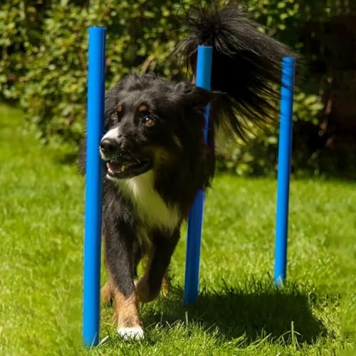 Lemodo Hunde Agility‑Set 12 Slalom‑Stangen, wetterfestes Slalom‑Set für Hundesport und Fußball, Agility‑Training, Hundetraining, Slalomstangen mit Metallspießen und Aufbewahrungstasche, Agility-Poles