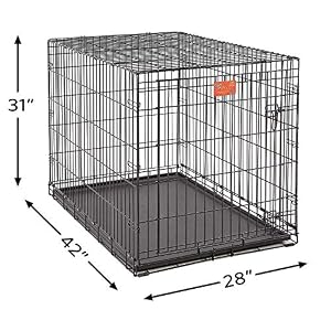 MidWest Homes for Pets Large Dog Crate | MidWest Life Stages Folding Metal Dog Crate | Divider Panel, Floor Protecting Feet, Leak-Proof Dog Pan | 42L x 28W x 31H Inches, Large Dog, Black MidWest Homes for Pets Large Dog Crate MidWest Life Stages Folding Metal Dog Crate Divider Panel Floor Protecting Feet Leak Proof Dog Pan 42L x 28W x 31H Inches Large Dog Black