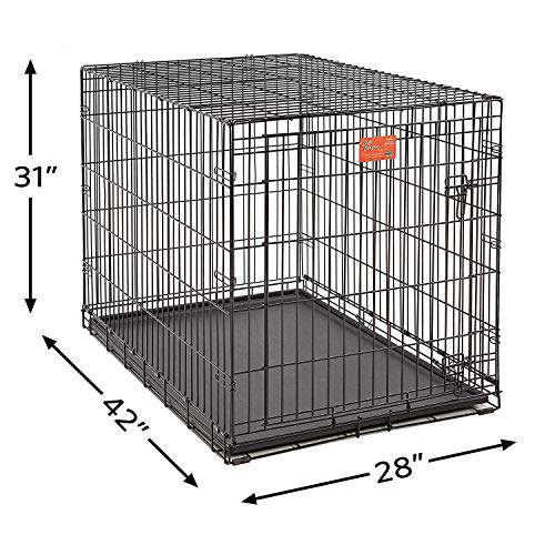 MidWest-Homes-for-Pets-Large-Dog-Crate-MidWest-Life-Stages-Folding-Metal-Dog-Crate-Divider-Panel-Floor-Protecting-Feet-Leak-Proof-Dog-Pan-42L-x-28W-x-31H-Inches-Large-Dog-Black MidWest Homes for Pets Large Dog Crate MidWest Life Stages Folding Metal Dog Crate Divider Panel Floor Protecting Feet Leak Proof Dog Pan 42L x 28W x 31H Inches Large Dog Black