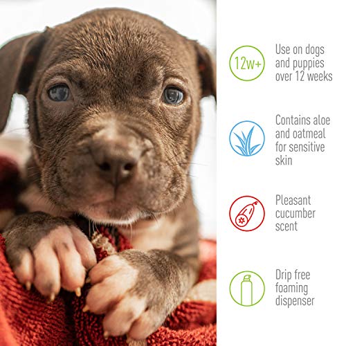 Adams Plus Flea & Tick Foaming Shampoo & Wash for Dogs & Puppies Over