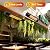 Hanging Patio Heater, Outdoor Electric Heater, Wall Mounted & Ceiling Infrared Garage Heater for Outdoor/Indoor Use, 1500W, Remote Control, Black