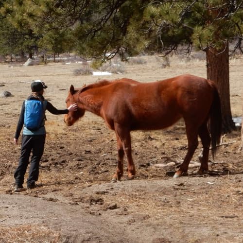 March 2026 Vedic Astrology Forecast by Kerry Shamblin