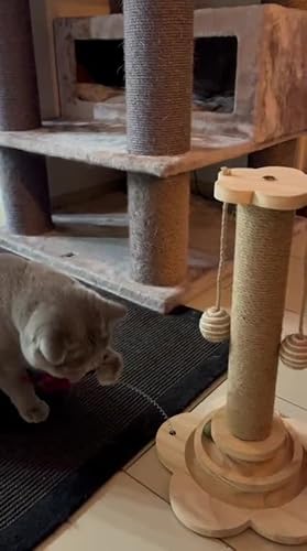 Vefhby 4-in-1 interactief kattenspeelgoed, zelfbezigheid, sisaltouw, krabpaal met hangende ballen, interactief kattenspeelgoed met lente, intelligentie kattenspeelgoed