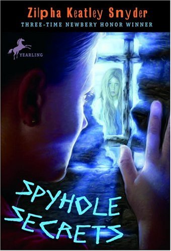 Buy Spyhole Secrets — BookShops.in