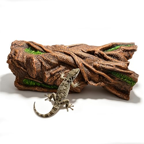 14in Reptile Hideout, Natural Terrarium Decor for Bearded Dragon, Leopard Gecko, Ball Python, Axolotl, Large Multi-Use Tank Accessories, Basking Platform & Stress-Relief Hide for Reptiles & Amphibians
