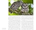 Owl: A Year in the Lives of North American Owls