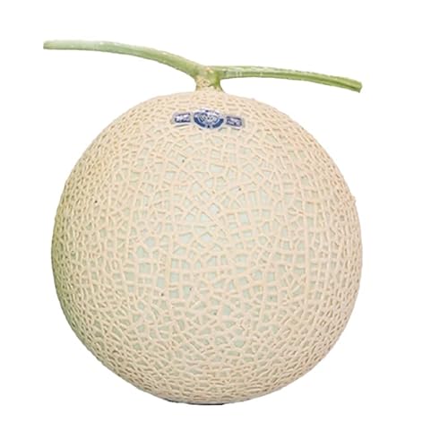 クラウンメロン[並(白等級)]特大玉(1.5kg前後)1玉入り