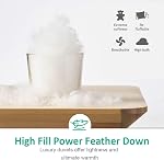 APSMILE Heavyweight Full/Queen Peignes d'oie vers le bas consolateur pour le temps plus froid / veilleur, Ultra-Soft Hotel Collection Goose Down Couette Insert, 46oz Consolateur de descente d'hiver épais et moelleux(90x90, Blanc)