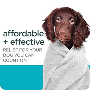 Sergeants guardian flea tick dog shampoo clean cotton scent 18 oz  urban country home decor