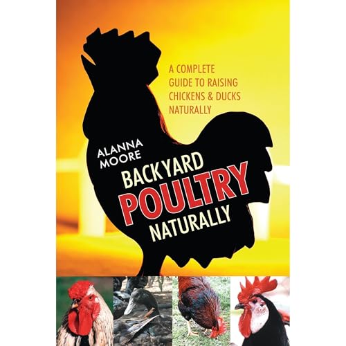 Backyard Poultry Naturally by Alanna Moore episode artwork