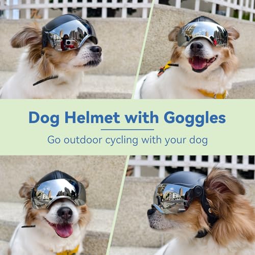 Enjoying Hundehelm für Kleine Hunde, Hundehelm mit Sonnenbrillen, Hundehelme Hut mit Ohrlöchern, Motorrad Fahrrad Hundehelm für kleine bis mittlere Hunde, Verstellbar, Schwarz