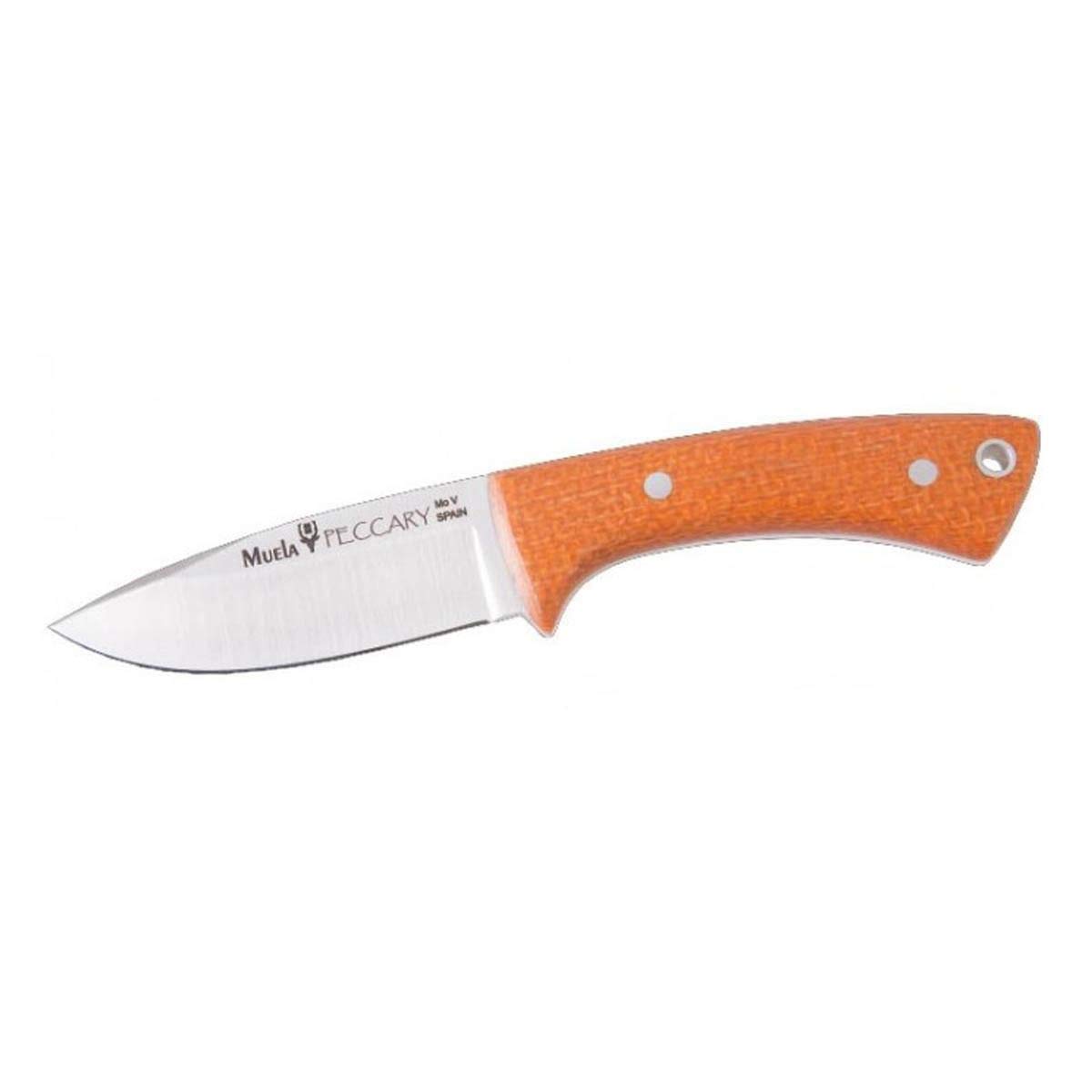 Muela Cuchillo EDC deportivo PECCARY PECCARY-8.O con hoja de acero MoVa de 8 cm y empuñadura de micarta negra de 8,5 cm para Caza, Pesca, Supervivencia y Bushcraft + Portabotellas de regalo