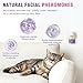Cat Calming Pheromone Diffuser Refills 4 Pack Anxiety and Stress Calming for Cats Reduce Inappropriate Peeing and Spraying Fragrance Free for Bedroom Bathroom Reduces Conflict in Multi-Cat Households