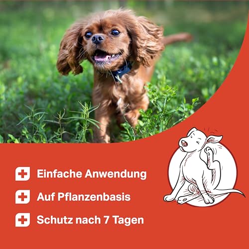 Medidog Spot-On für Hunde 50 ml Natürlicher Zeckenschutz