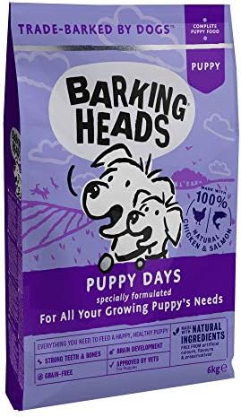 petsafe wireless fence installation