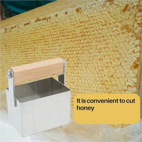 Coupe-nids pour l'apiculture au printemps pour récolter le miel facilement