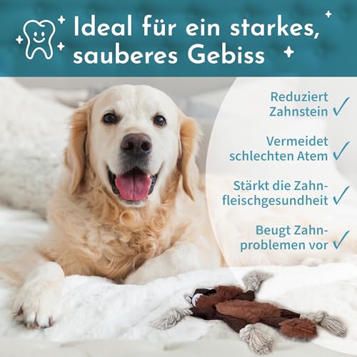 Hafenbande Robustes Hundespielzeug quietschend | Welpenspielzeug mit Raschelfolie | Kuscheltier für kleine und mittelgroße Hunde bis 25kg | süßes Eichhörnchendesign