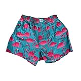 Cleptomanicx Lousy Flamingo Turquoise Boxershort Größe XL