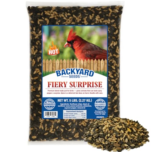 CountryMax Backyard Seeds Fiery Surprise Spicy Bird Seed Blend – Hot Cayenne Pepper Bird Seed – Squirrel Resistant Wild Bird Food (5 Pounds)