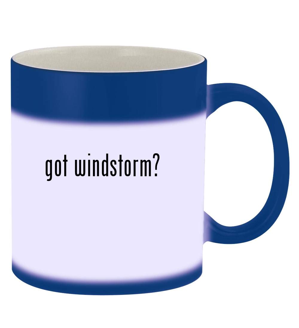 got windstorm? - 11oz Magic Color Changing Mug, Blue