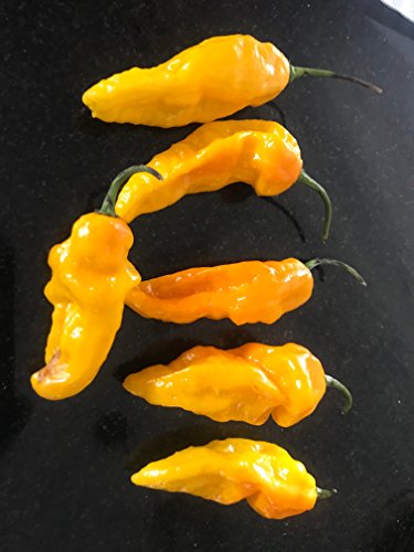 Yellow Dried Ghost Peppers Whole Dried Peppers +2 Free Wicked Tickle Super Hot #TOP3