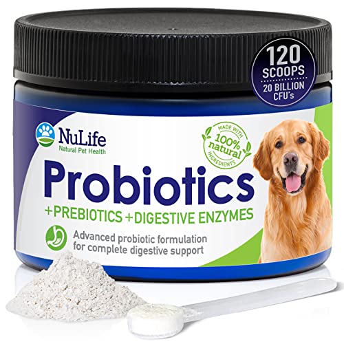 Probiotics for Dogs Powder with Digestive Enzymes & Prebiotics, 100% Natural Pet Probiotics for Complete Immunity Support & Gut Health, Prevents Itchy Skin, Bad Breath & Yeast Infections, 4oz Powder